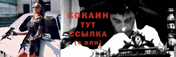 винт Покров
