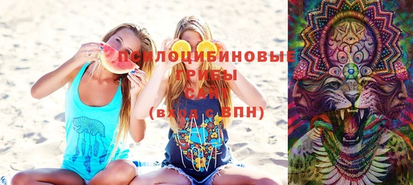 винт Покров