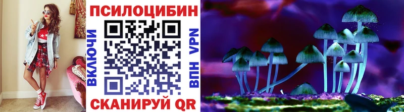 Псилоцибиновые грибы GOLDEN TEACHER  продажа наркотиков  Волгореченск 